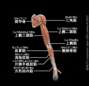 東十条駅から徒歩５分のパーソナルトレーニングに特化したスポーツジムのストレッチ&フィットネス２４十条店のブログの画像