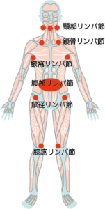 東十条駅から徒歩５分のパーソナルトレーニングに特化したスポーツジムのストレッチ&フィットネス２４十条店のブログの画像